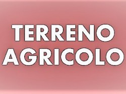 terreno-agricolo-in-vendita-a-ronchi