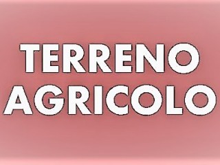 Terreno in vendita a Ronchi