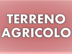 terreno-agricolo-in-vendita-a-marina-di-massa