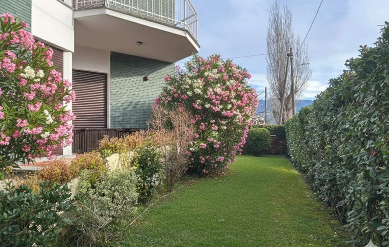 Bifamiliare in affitto a Pietrasanta