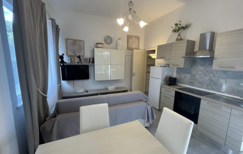 Appartamento in affitto a Pietrasanta