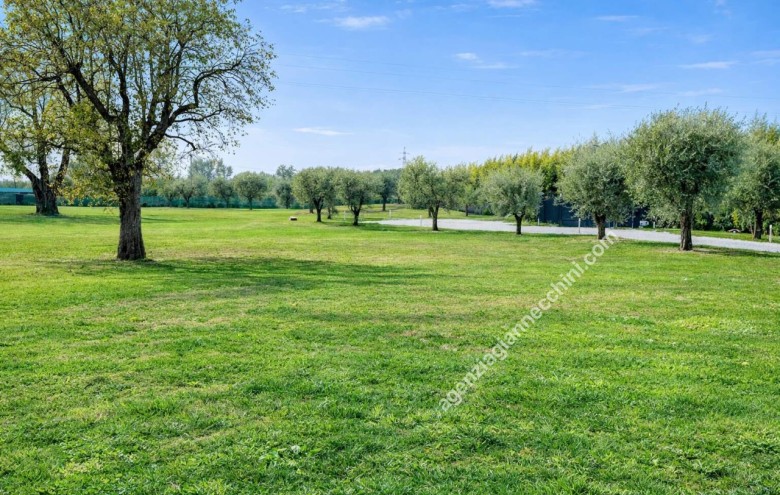 Villa singola in vendita a Pietrasanta