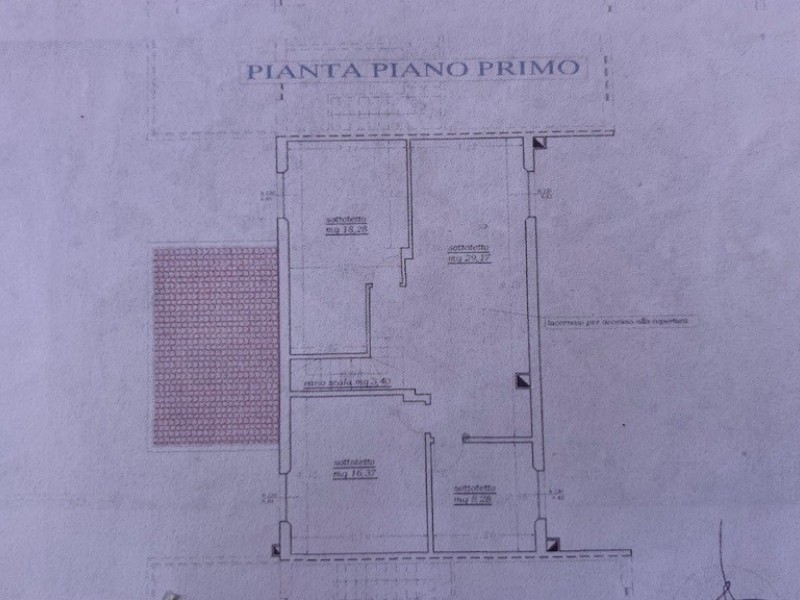 planimetria - Porzione di casa in vendita a Pietrasanta