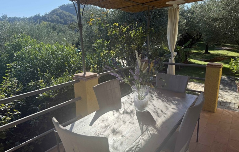 Villa singola in affitto a Camaiore