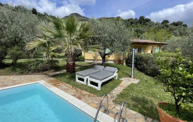 Villa singola in affitto a Camaiore