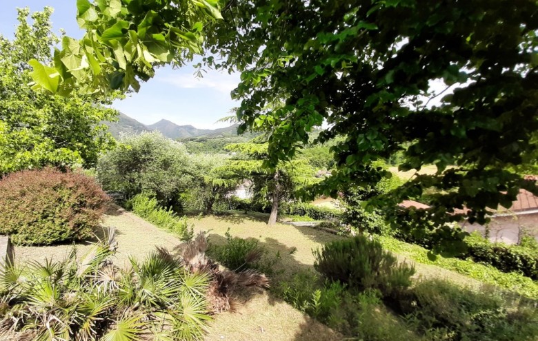 Villa singola in vendita a Camaiore