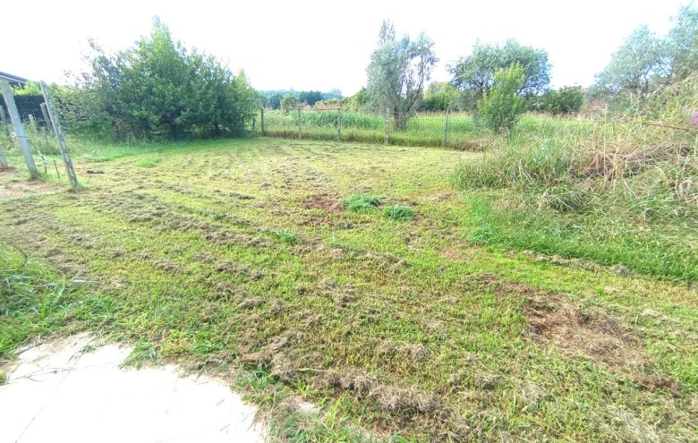 Villa singola in vendita a Pietrasanta