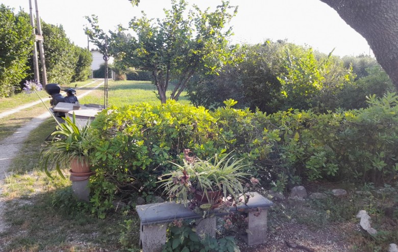 Porzione di casa in vendita a Pietrasanta