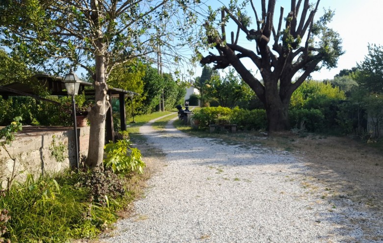 Porzione di casa in vendita a Pietrasanta