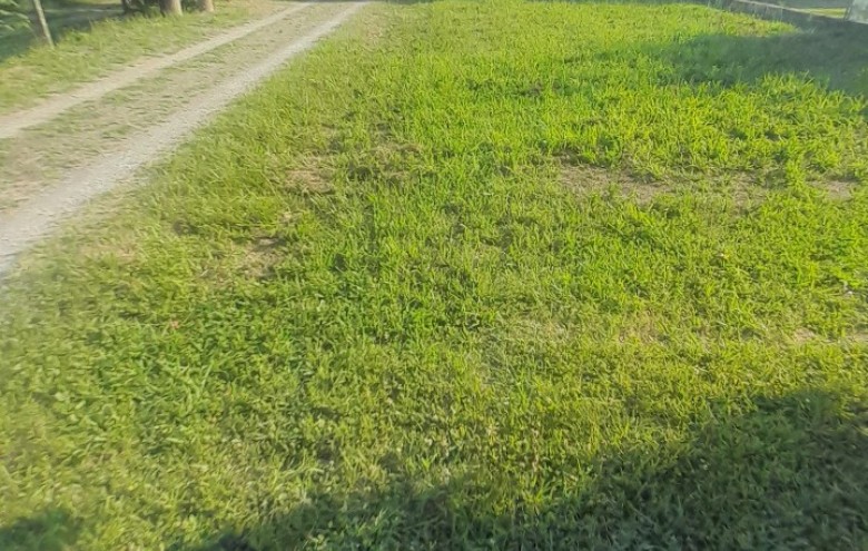 Porzione di casa in vendita a Pietrasanta