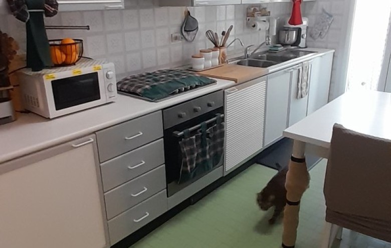 Appartamento in vendita a Seravezza