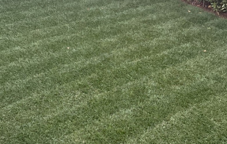 Porzione di casa in vendita a Camaiore