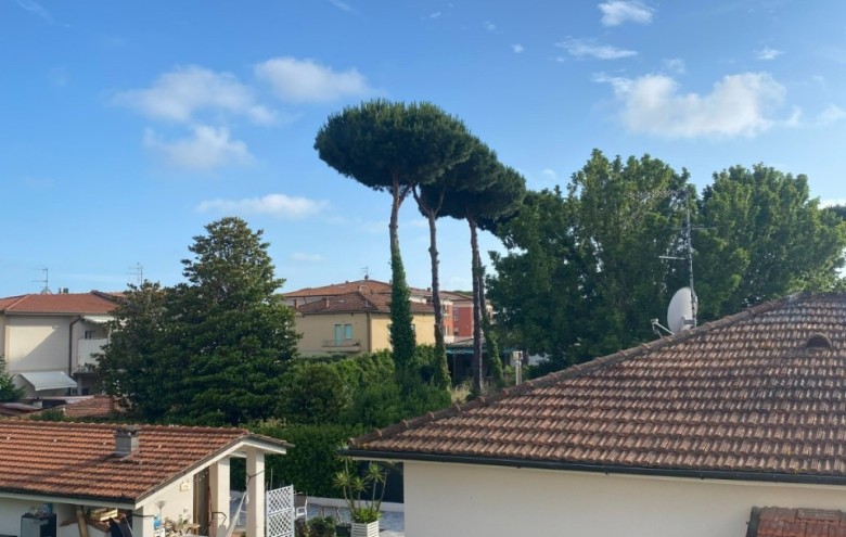 Porzione di casa in vendita a Camaiore