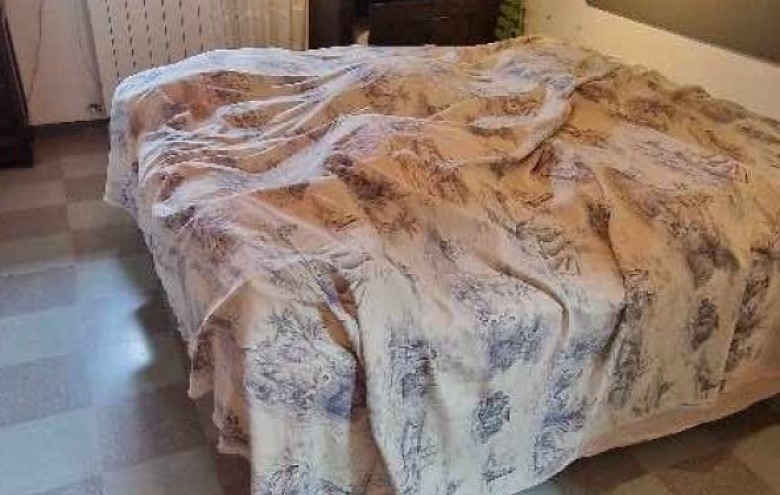 Villa singola in vendita a Pietrasanta