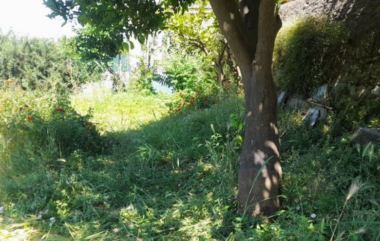 Appartamento in vendita a Pietrasanta
