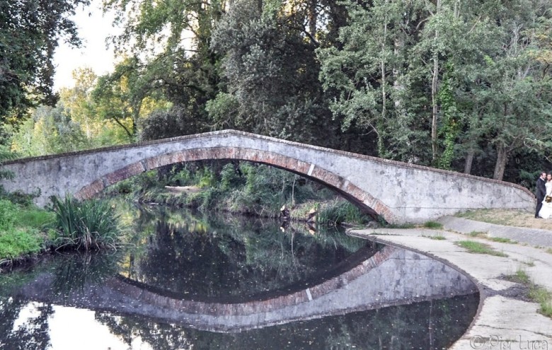 Villa singola in vendita a Pietrasanta