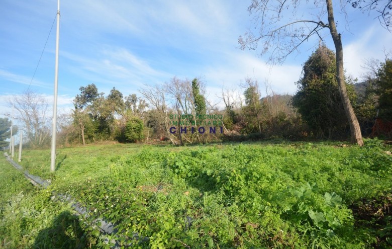 Terreno in vendita a Massa