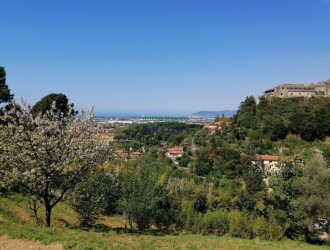 Villa singola in vendita a Rocca