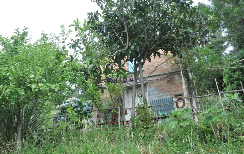 Terreno in vendita a Massa