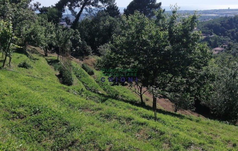 Terreno in vendita a Massa