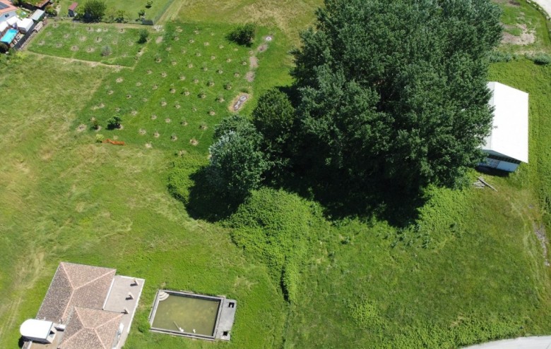 Terreno in vendita a Montignoso