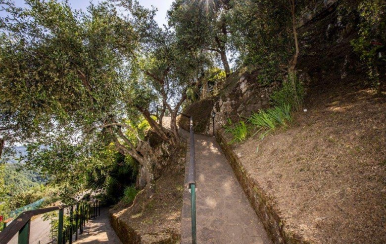 Terratetto in vendita a Camaiore