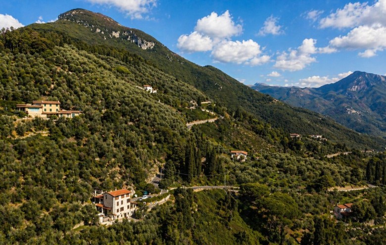 Villa singola in vendita a Camaiore