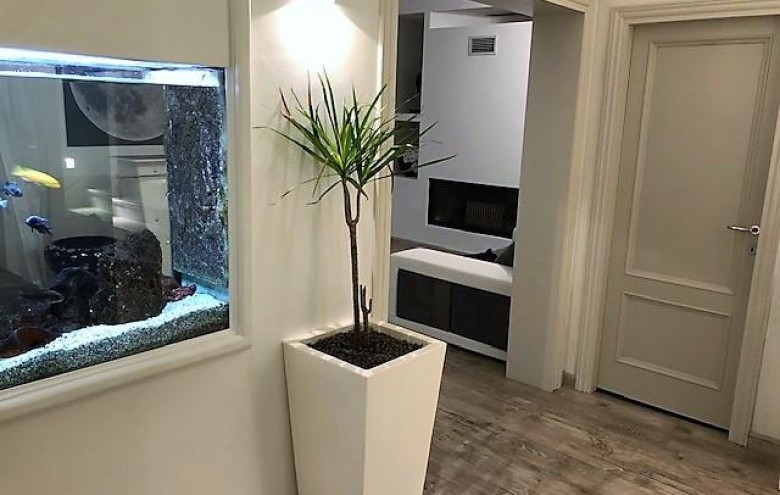 Villa singola in vendita a Massa