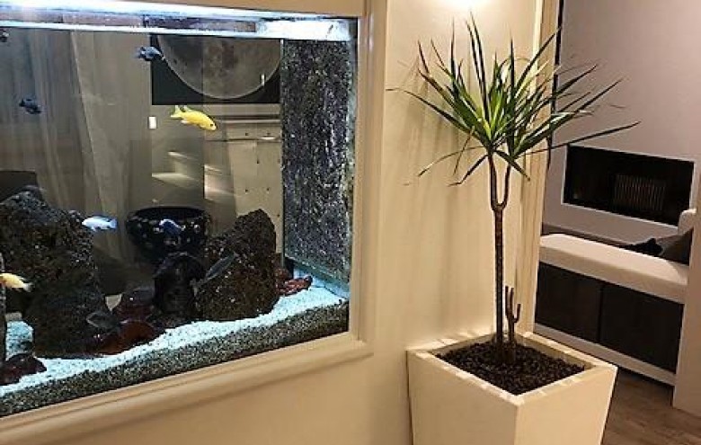 Villa singola in vendita a Massa