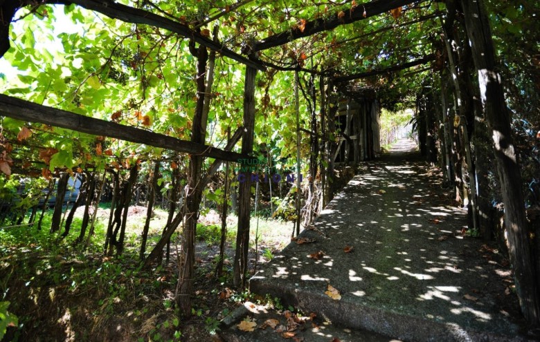 Villetta a schiera in vendita a Montignoso