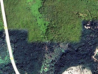 Terreno in vendita a Bozzano