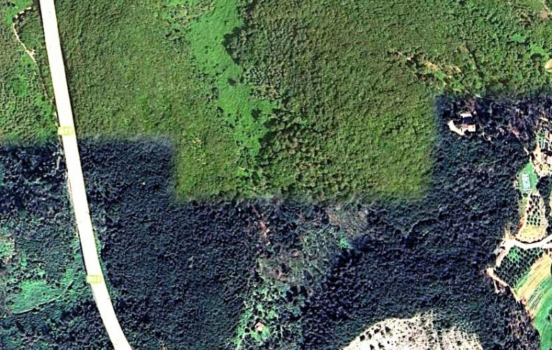 Terreno in vendita a Massarosa