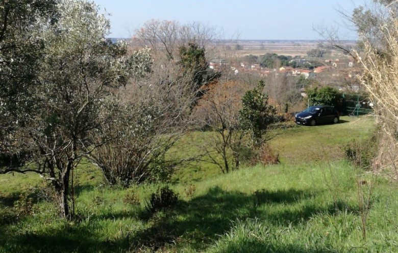 Villa singola in vendita a Massarosa