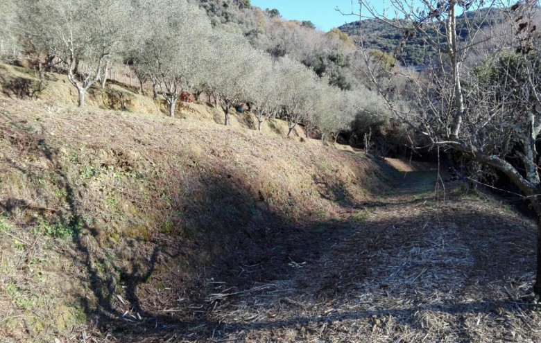 Villa singola in vendita a Massarosa