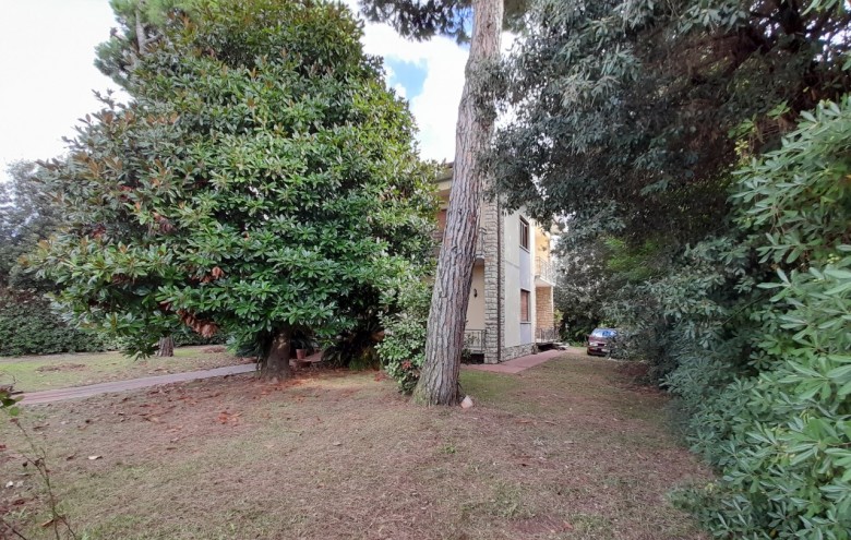 Villa singola in vendita a Pietrasanta