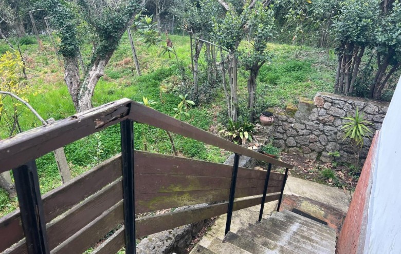 Villa singola in vendita a Massa