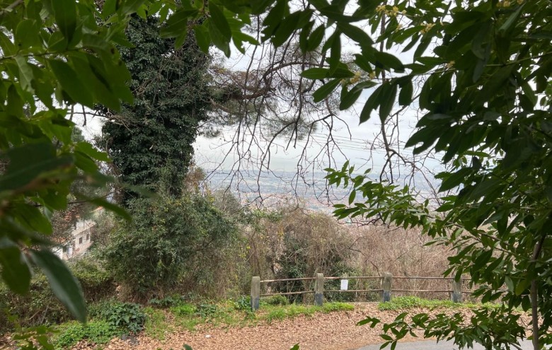 Villa singola in vendita a Massa