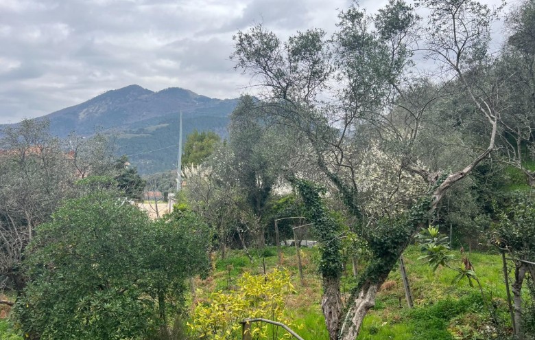 Villa singola in vendita a Massa