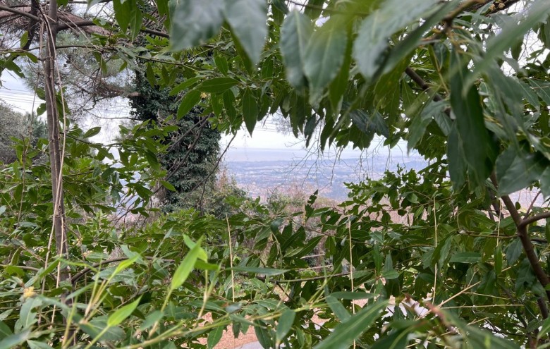 Villa singola in vendita a Massa