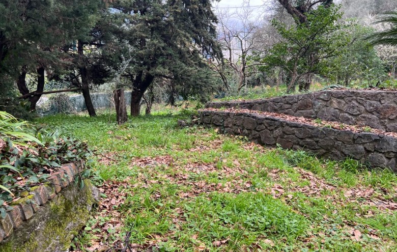 Villa singola in vendita a Massa