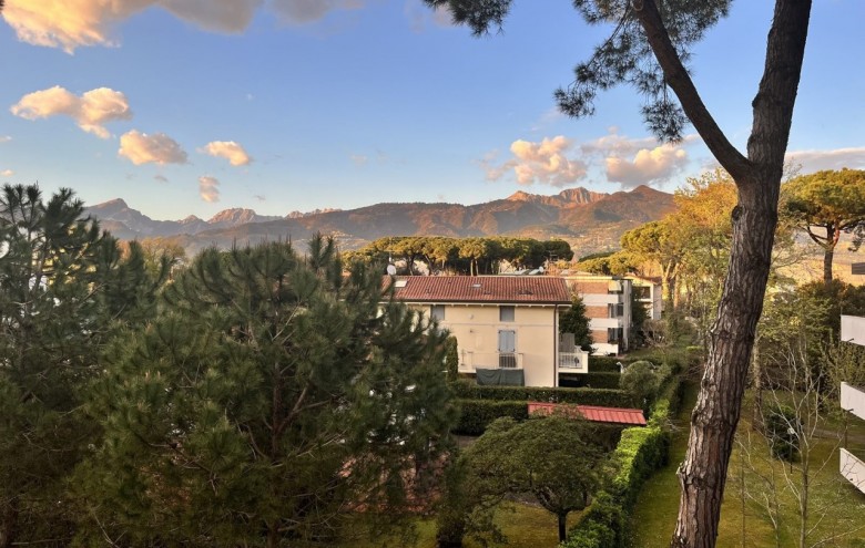 Appartamento in affitto a Montignoso