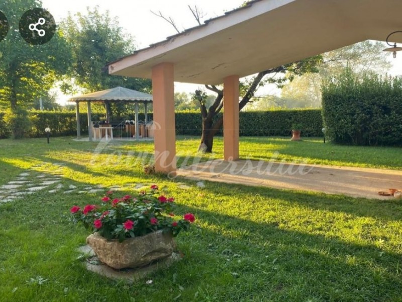 Villa singola in affitto a Camaiore