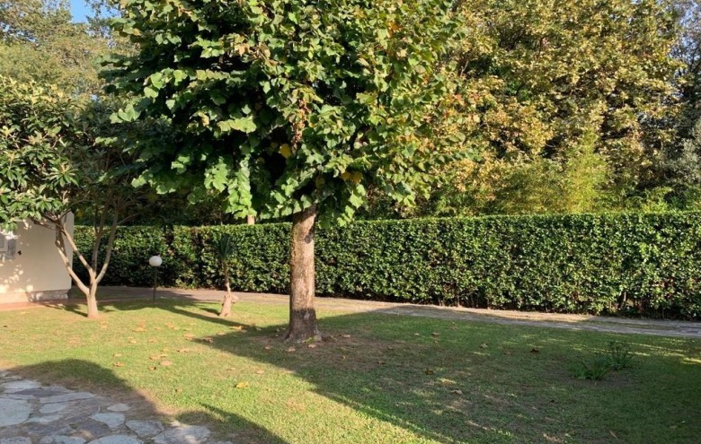 Villa singola in affitto a Montignoso