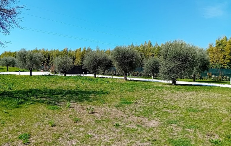 Villa singola in affitto a Forte dei Marmi