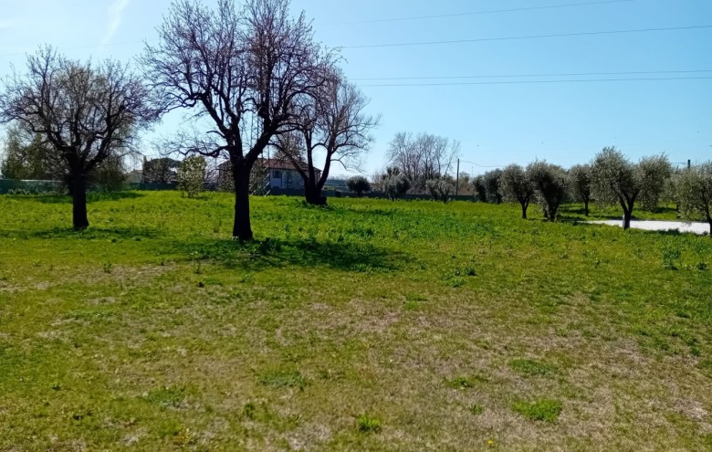 Villa singola in affitto a Forte dei Marmi
