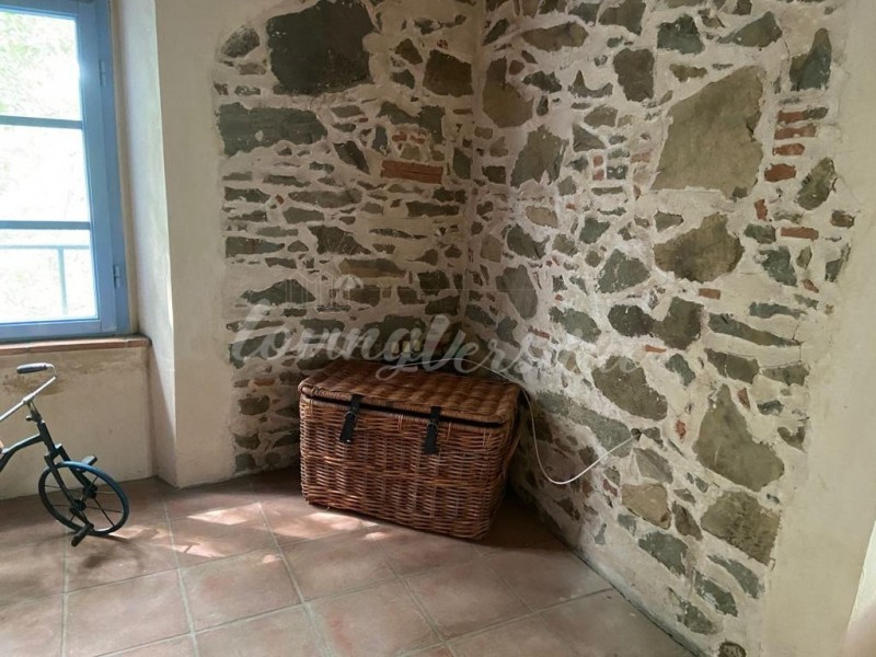Rustico in affitto a Camaiore