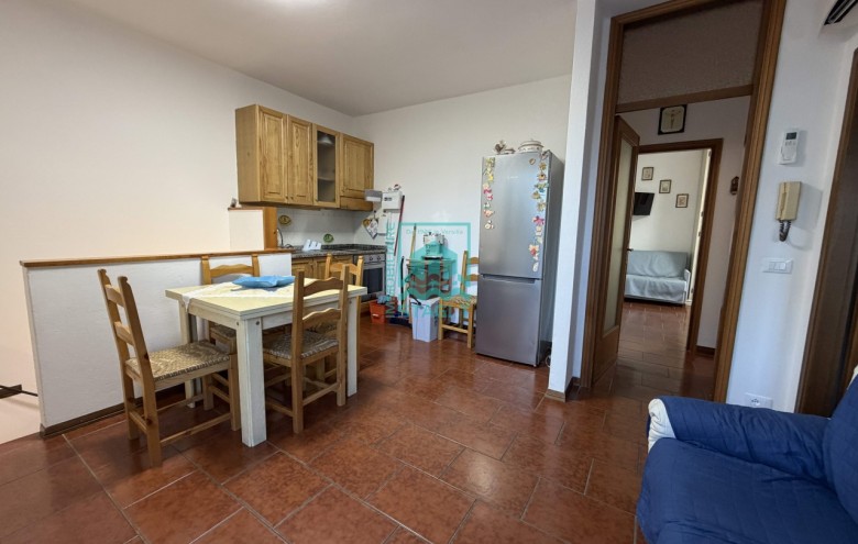 Appartamento in affitto a Camaiore