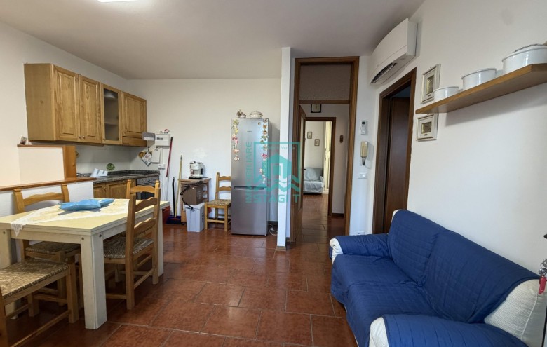 Appartamento in affitto a Camaiore