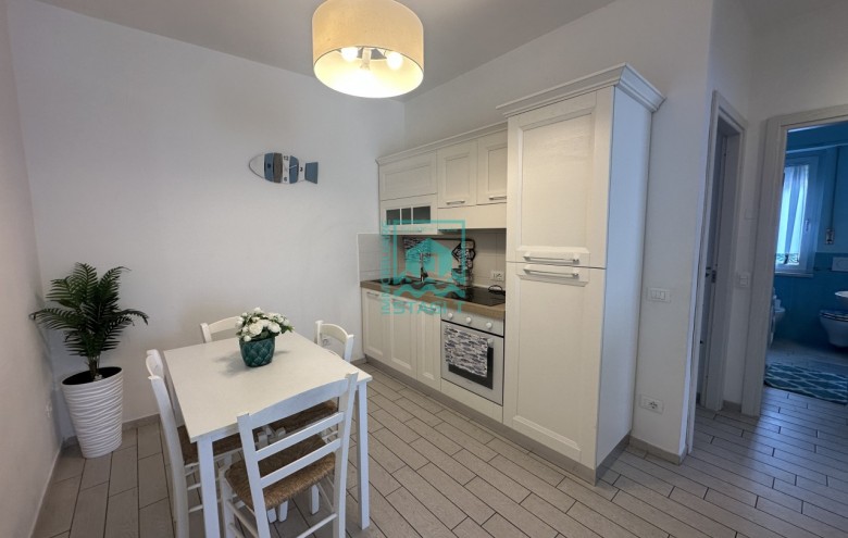 Appartamento in affitto a Camaiore