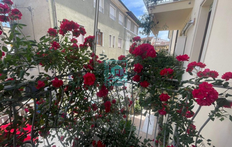 Appartamento in affitto a Camaiore